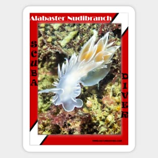 Alabaster Nudibranch Sticker